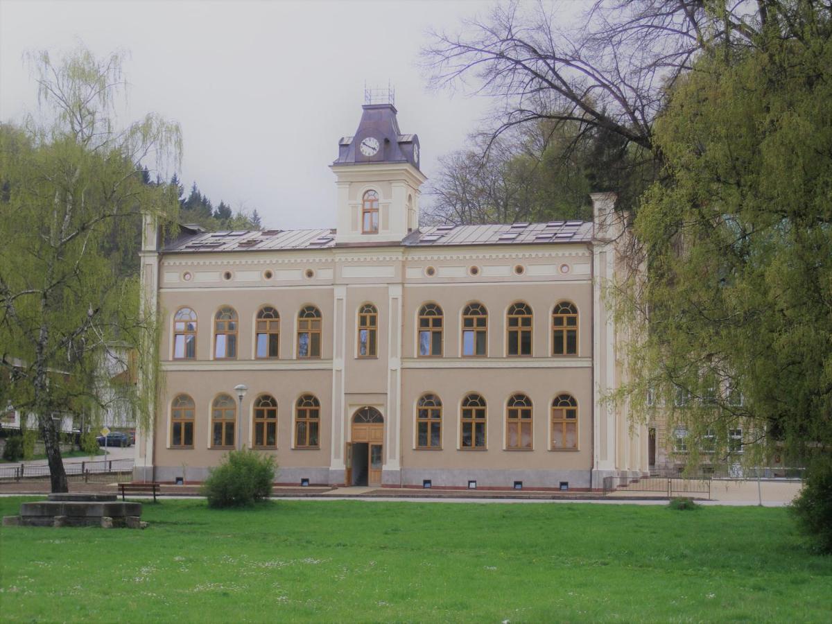 Pod Strechou Apartment Svoboda nad Úpou Екстериор снимка